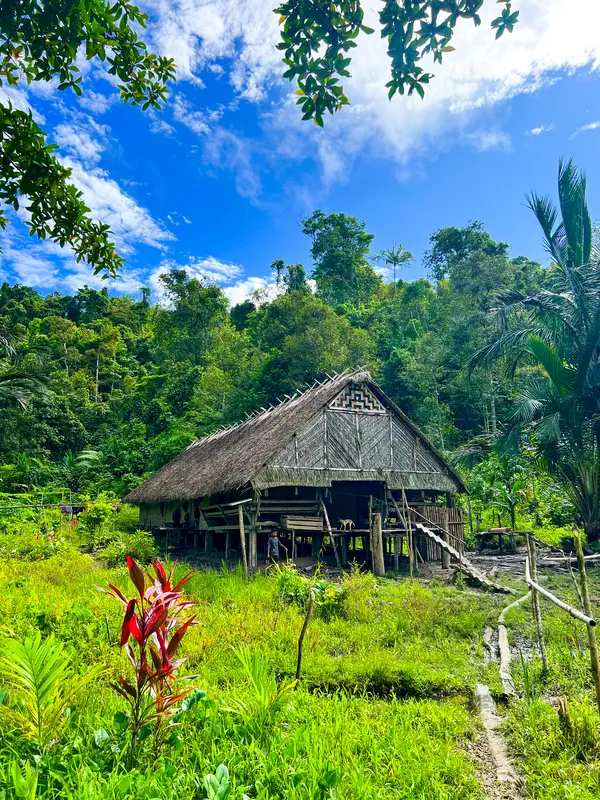 Maison traditionnelle des Shamans de la tribu des fleurs
